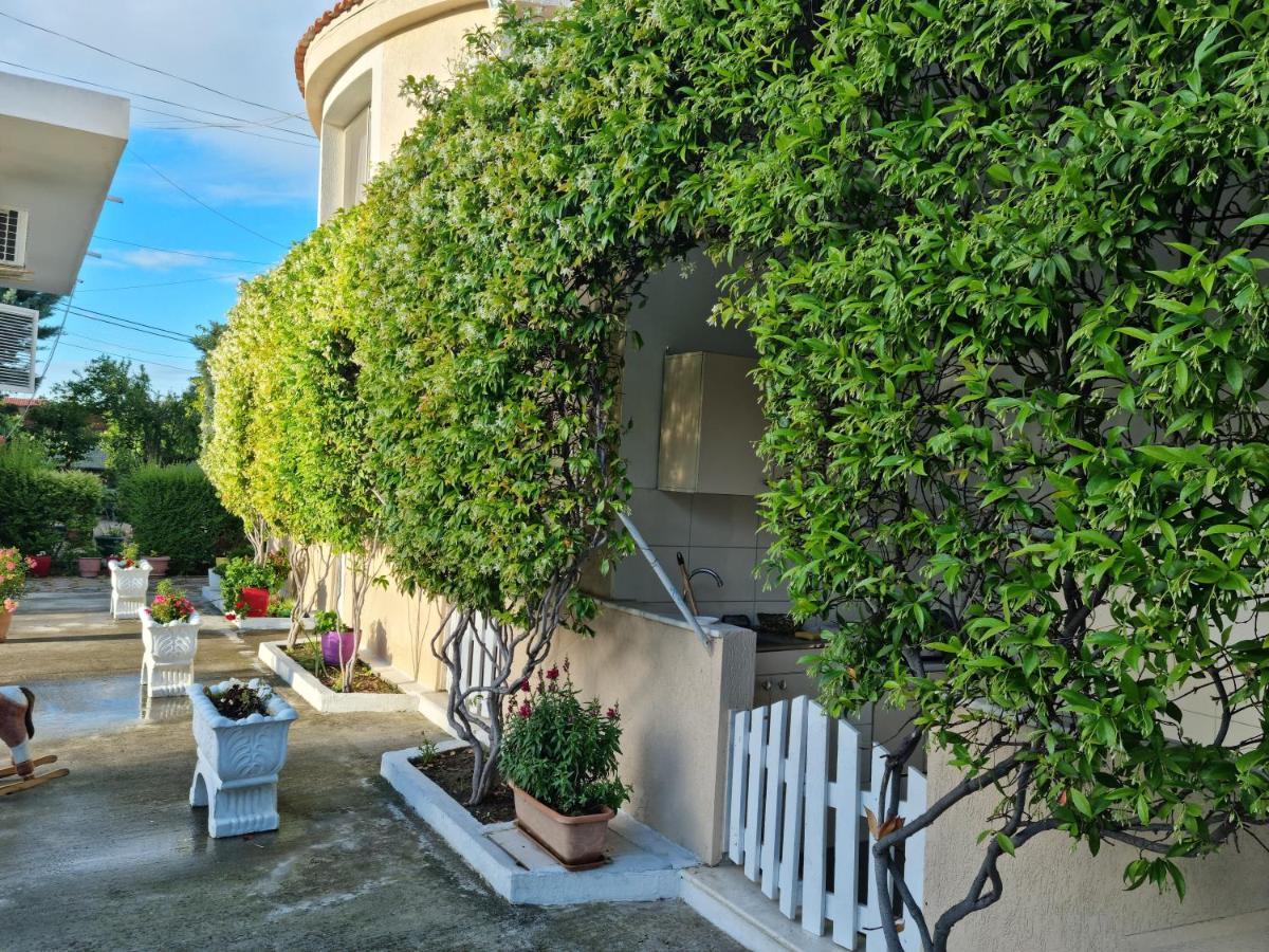 דורס Guesthouse Novi מראה חיצוני תמונה